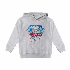 Kenzo Grey Hoodie For Boy And Teen