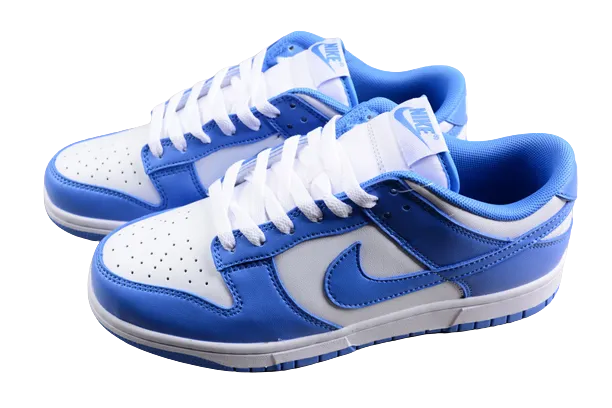 Nike Dunk Polar Blue