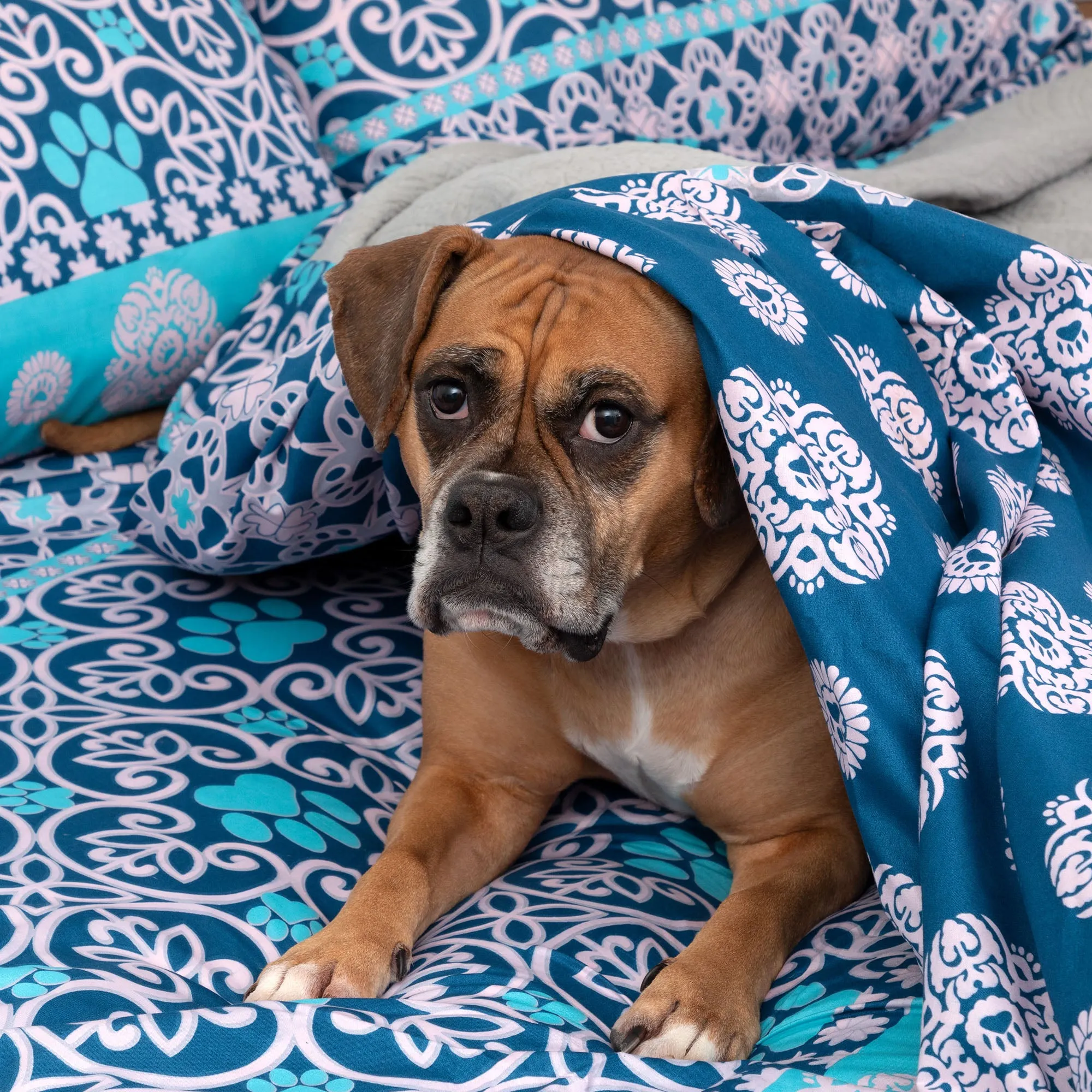 Super Cozy Perfectly Patterned Paws Sheet Set